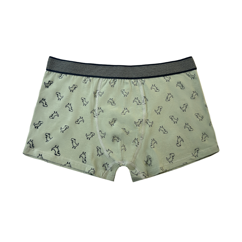 Groothandel Hot Sale aangepaste homoseksuele mannen \'s Boxer -briefs met aangepaste logo mannen sexy ondergoed