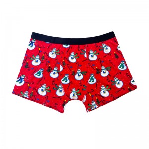 Groothandel Hot Sale aangepaste homoseksuele mannen \'s Boxer -briefs met aangepaste logo mannen sexy ondergoed